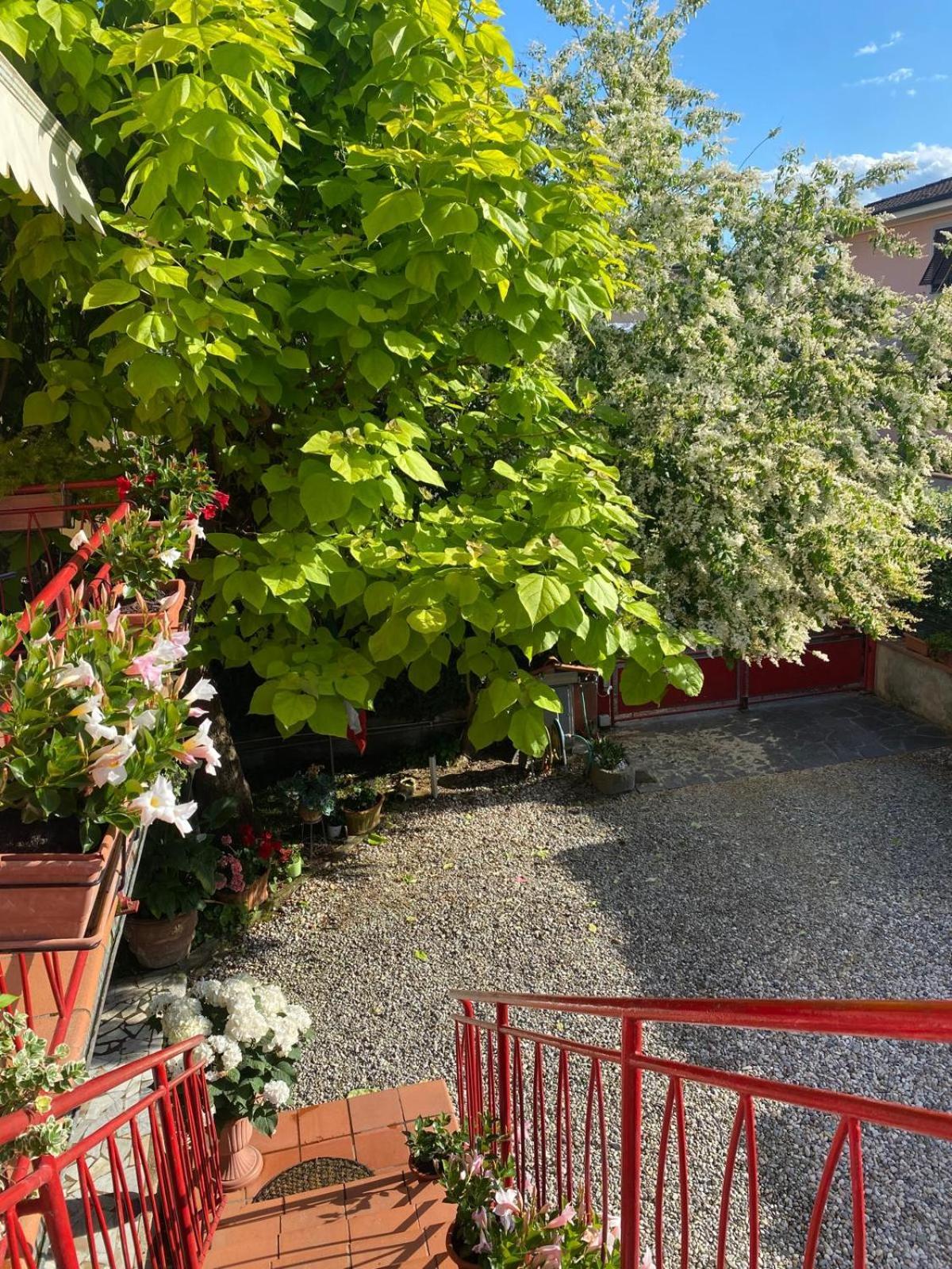 Casa Mary Villa Lucca Dış mekan fotoğraf